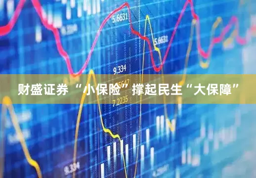 财盛证券 “小保险”撑起民生“大保障”