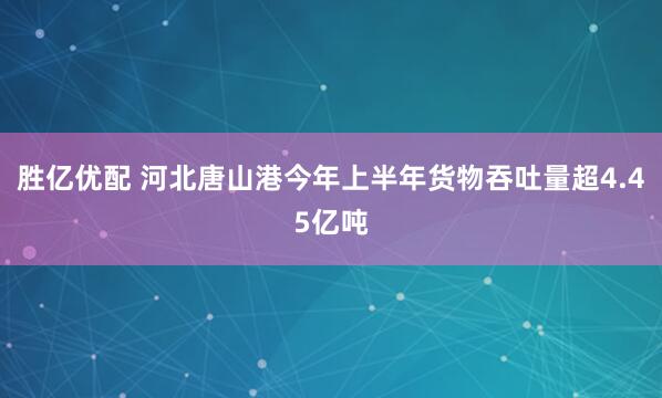 胜亿优配 河北唐山港今年上半年货物吞吐量超4.45亿吨